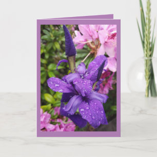 Födelsedagskort Kort