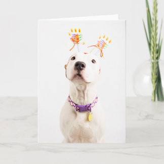  Födelsedagskort Kort