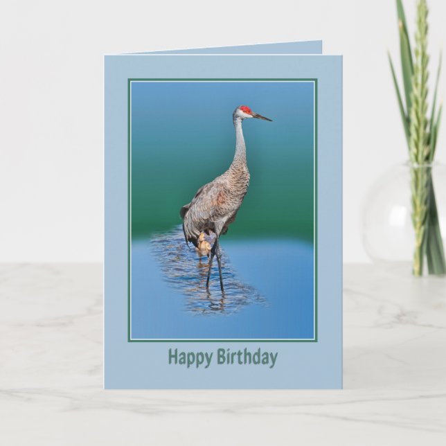 Födelsedagskort med Baby Sandhill Crane Kort (Framsida)
