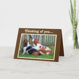Födelsedagskort med/Cute Basset Hounds & Muffinss Kort