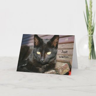 Födelsedagskort med fantastisk svart katt kort