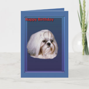 Födelsedagskort med hälsningskort Shih Tzu Kort