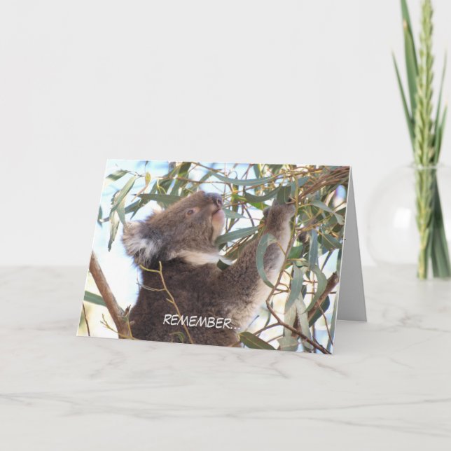 Födelsedagskort med koala kort (Framsida)