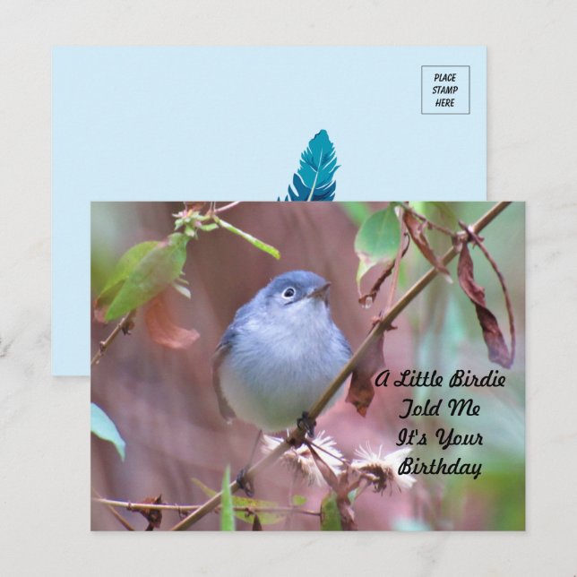 Födelsedagskort med liten fågel vykort (Fram/baksida)