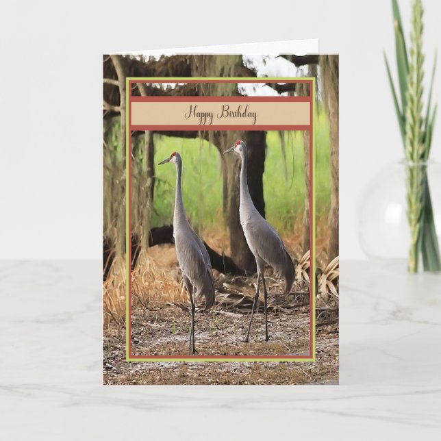 Födelsedagskort med Sand Backe Cranes Kort (Framsida)