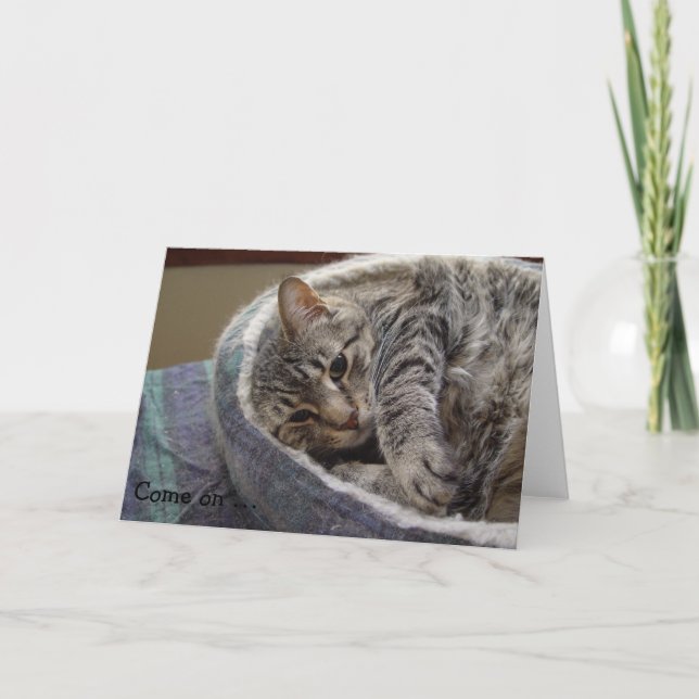 Födelsedagskort med söt grått Cat: Kom den ... Kort (Framsida)