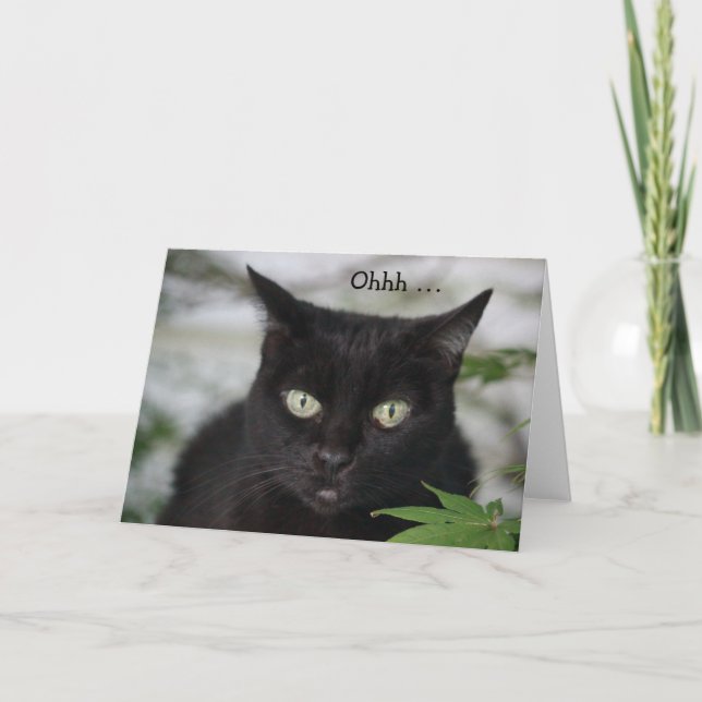 Födelsedagskort med söt svart katt kort (Framsida)