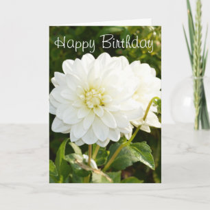 Födelsedagskort med vita dahlias kort