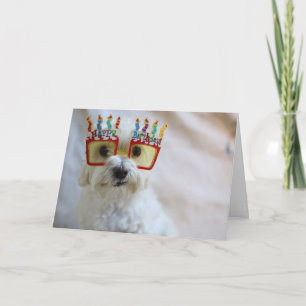 Födelsedagskort - Rolig hund hönsdagarsglas Kort