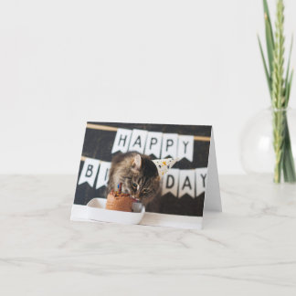 Födelsedagskort Tack Kort