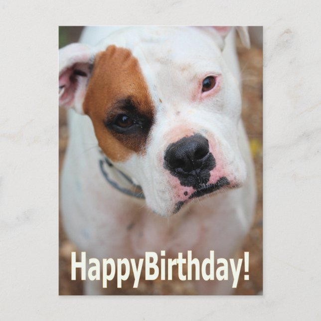 Födelsedagskort Vykort (Framsida)