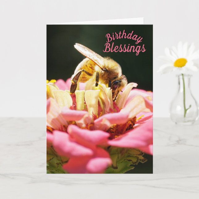 Födelsedagsönskningar Honeybee på rosa Zinnia-blom Kort (Liten växt)