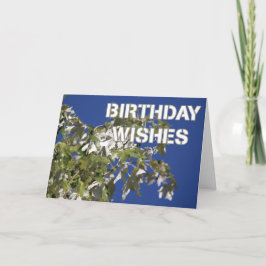 Födelsedagsönskningar Lövrik poppel, blå himmel Kort