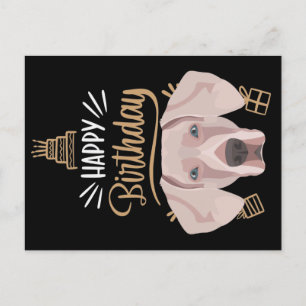 Födelsedagspresent Weimaraner Vykort