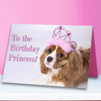 Födelsedagsprinsessa Cavalier King Charles-kort Kort