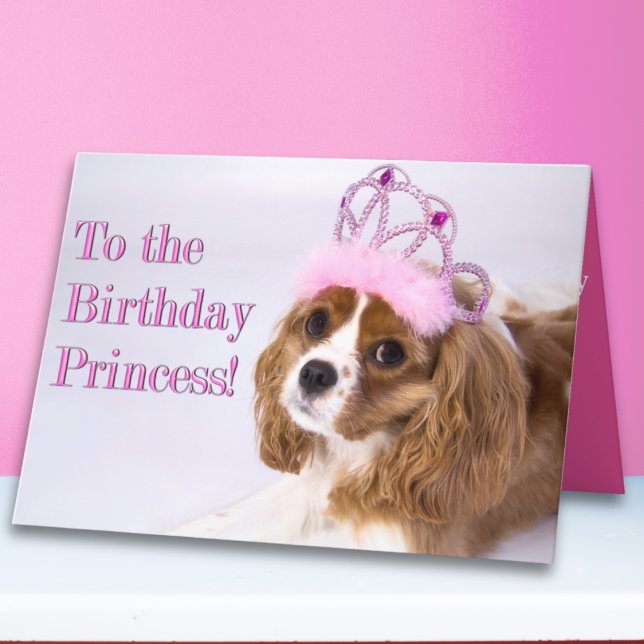 Födelsedagsprinsessa Cavalier King Charles-kort Kort (Skapare uppladdad)