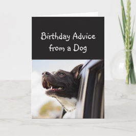Födelsedagsråd från en Hund Djurens Humor Kort