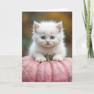 Födelsedagsvit kattunge på rosa pumpa kort