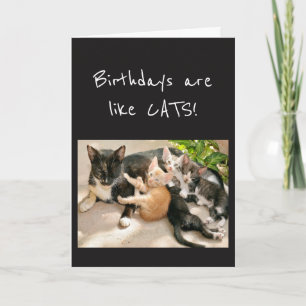 Födelsedlarna liknar Cats Animal Humor Kort