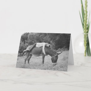 Födelsefödelsedagskort för flicka Riding Donkey Kort