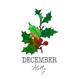 Födelsemånad, blomma december Holly T Shirt