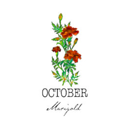 Födelsemånad, blomma oktober Marigold Kudde
