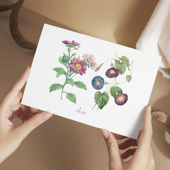 Födelsemånad: Blomsterplatta anteckningskort (September Birthday Gift - Flat Note Card with the month's flowers, Aster and Morning Glory)