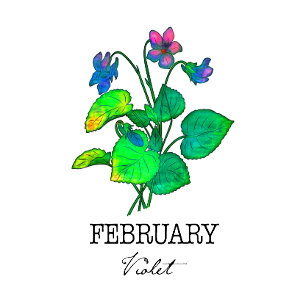 Födelsemånad februari Violet Kaffemugg