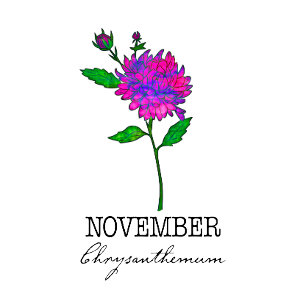 Födelsemånad Flower November Chrysanthemum Kudde