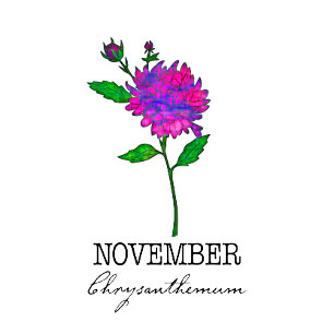 Födelsemånad Flower November Chrysanthemum T Shirt