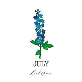 Födelsemånad juli Larkspur Flower T Shirt