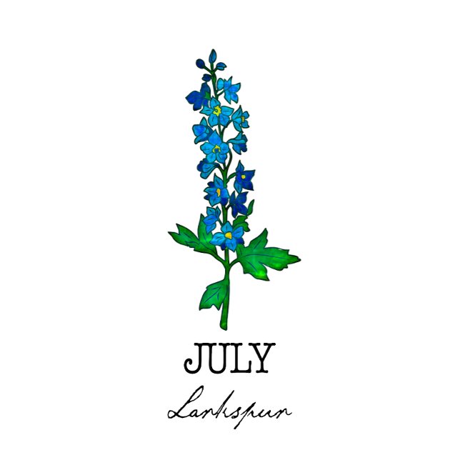 Födelsemånad juli Larkspur Flower T Shirt (Skapare uppladdad)