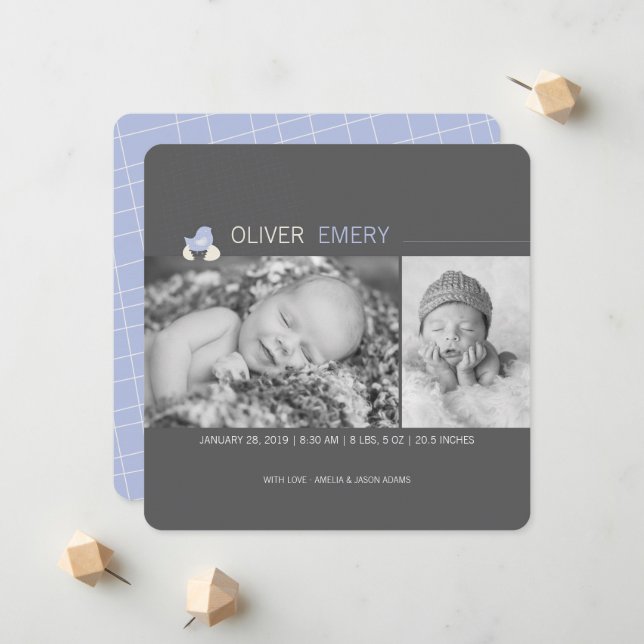 Födelsemeddelande om kläckt ägg från Chicken Baby Meddelande (Fram/Back In Situ)