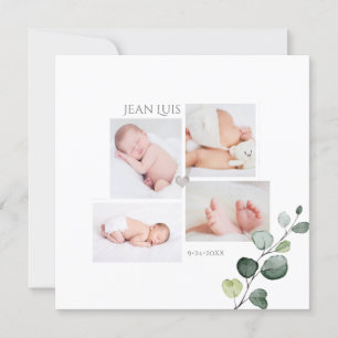 Födelsemeddelande om PixDezines Eucalyptus Inbjudningar