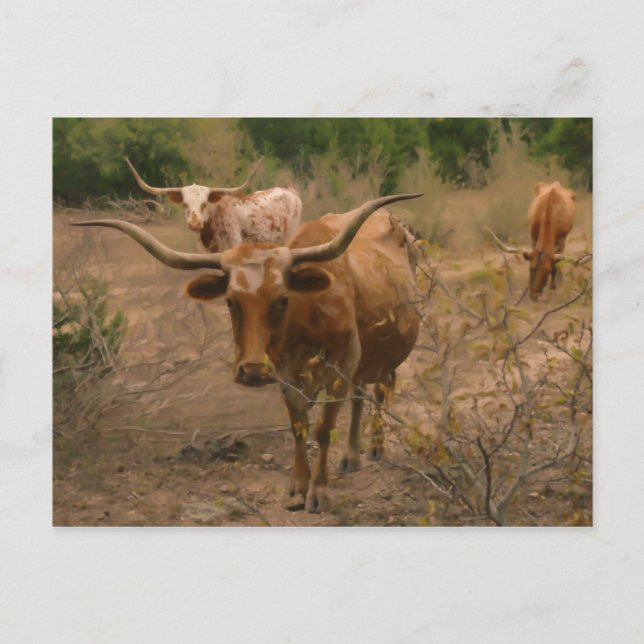 Foder för livsmedel vykort (Framsida)