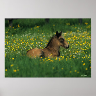Foder nedlagt i blommor poster