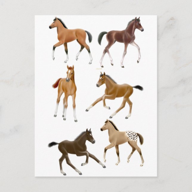 Foder Vykort (Framsida)