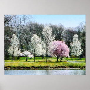 Fodra av blommarträd poster