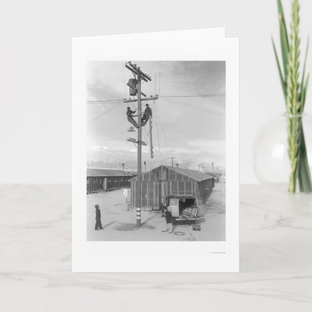 Fodra besättningen på arbete i Manzanar 1943 Kort (Framsida)