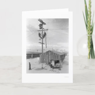 Fodra besättningen på arbete i Manzanar 1943 Kort