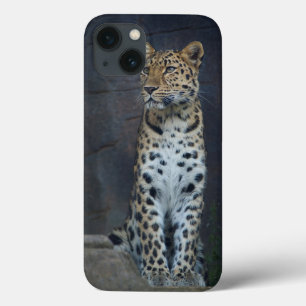Fodral för Amur LeopardiPhone 6