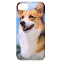 Fodral för iPhone 5 för KRW-Corgihund