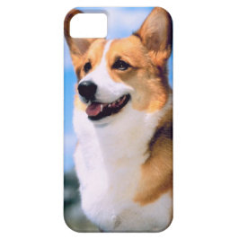 Fodral för iPhone 5 för KRW-Corgihund
