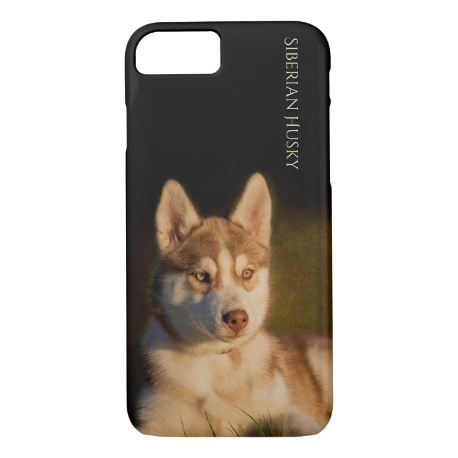 Fodral för siberian huskyvalptelefon Case-Mate iPhone skal (Baksida)