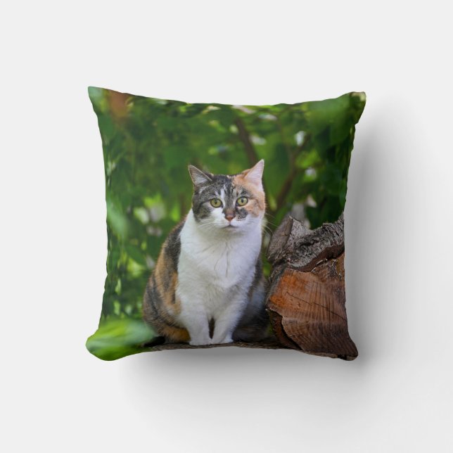 Fodral i    CatPillow Kudde (Framsida)