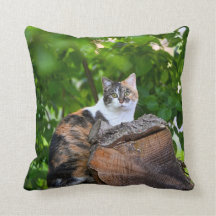 Fodral i CatPillow