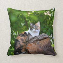 Fodral i CatPillow Kudde