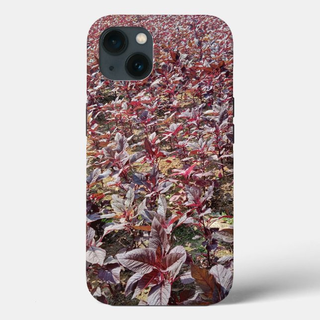Fodral-Mate Tuff Apple iPhone 13 Fodral (Baksida)