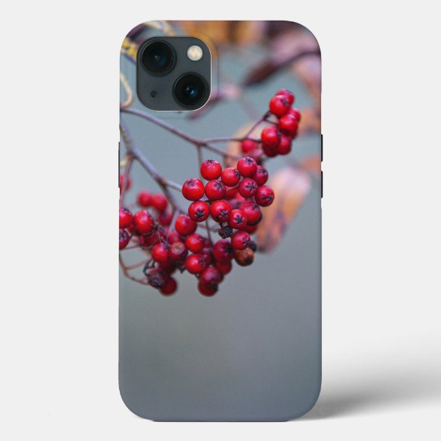 Fodral-Mate Tuff Apple iPhone 13 Fodral (Baksida)
