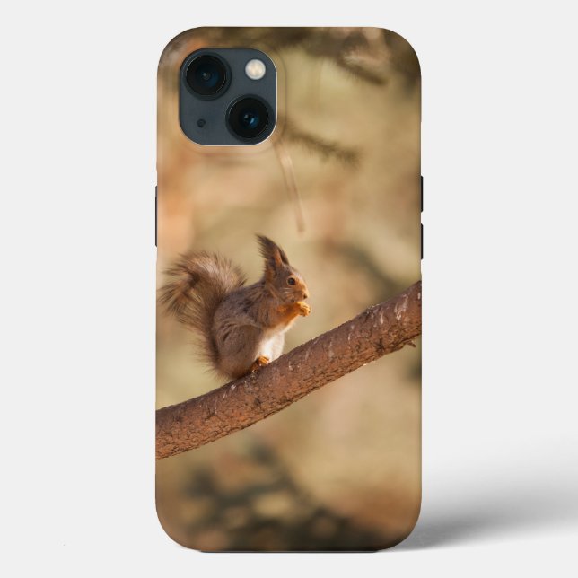 Fodral-Mate Tuff Apple iPhone 13 Fodral (Baksida)